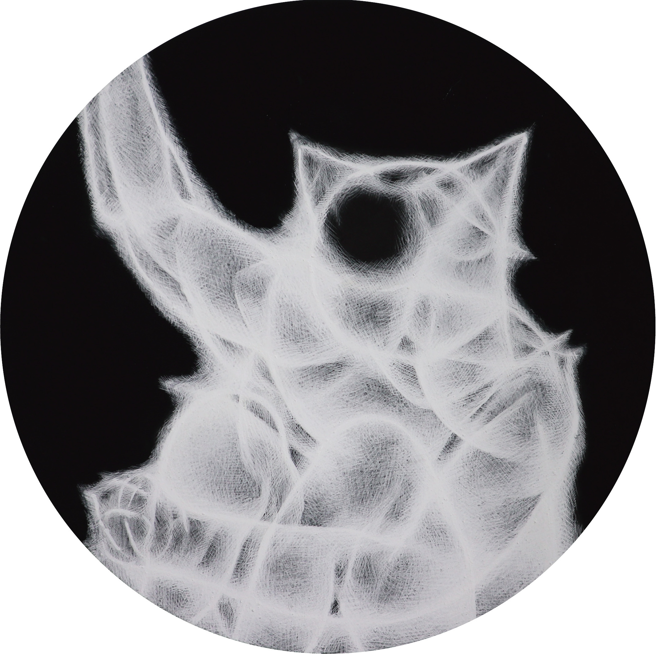 Stay before the Cambrian era